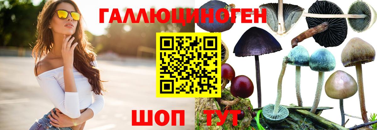 Псилоцибиновые грибы MAGIC MUSHROOMS Камышин