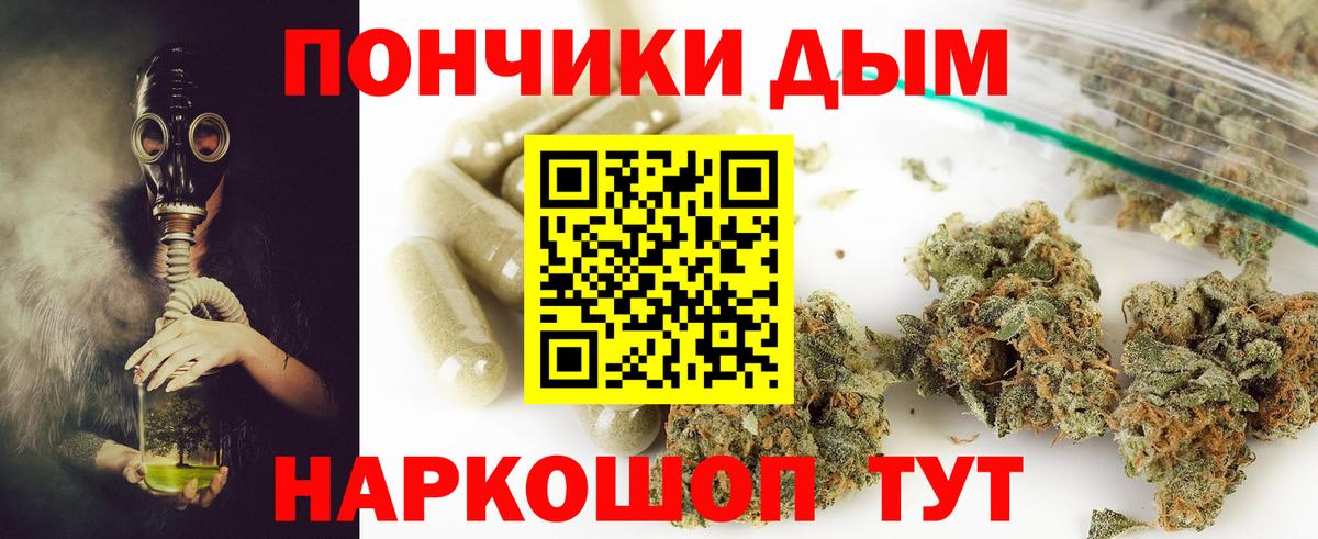 Бошки Шишки ГИДРОПОН Камышин